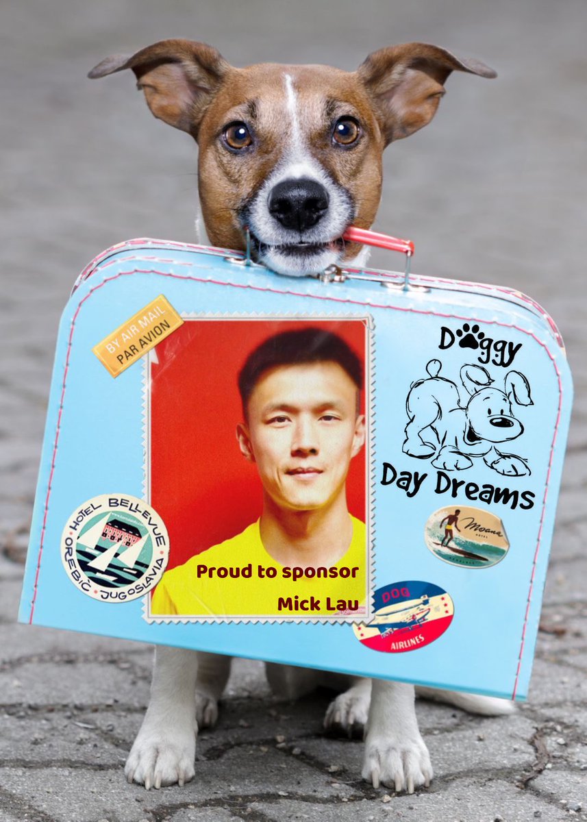 johnstone_burgh's tweet photo. Doggy Day Dreams™️ https://t.co/vCzOEEfyNS