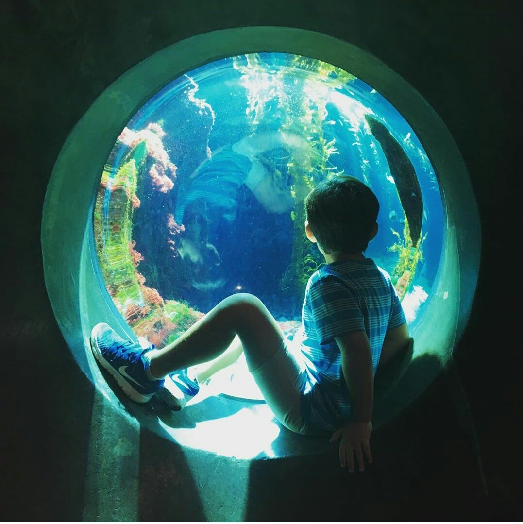 Mateo-sɐılƎ Solano Villanueva Fan of Elias Janssen (@MateoSolanoV) / Posts  / X