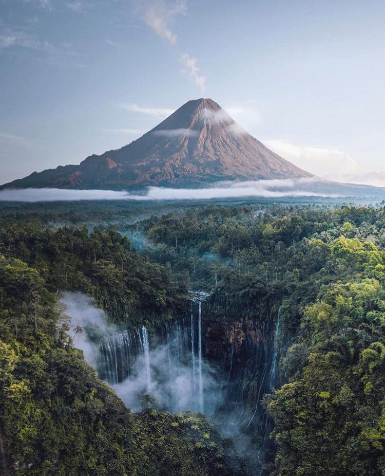 Wild Earth tweet media