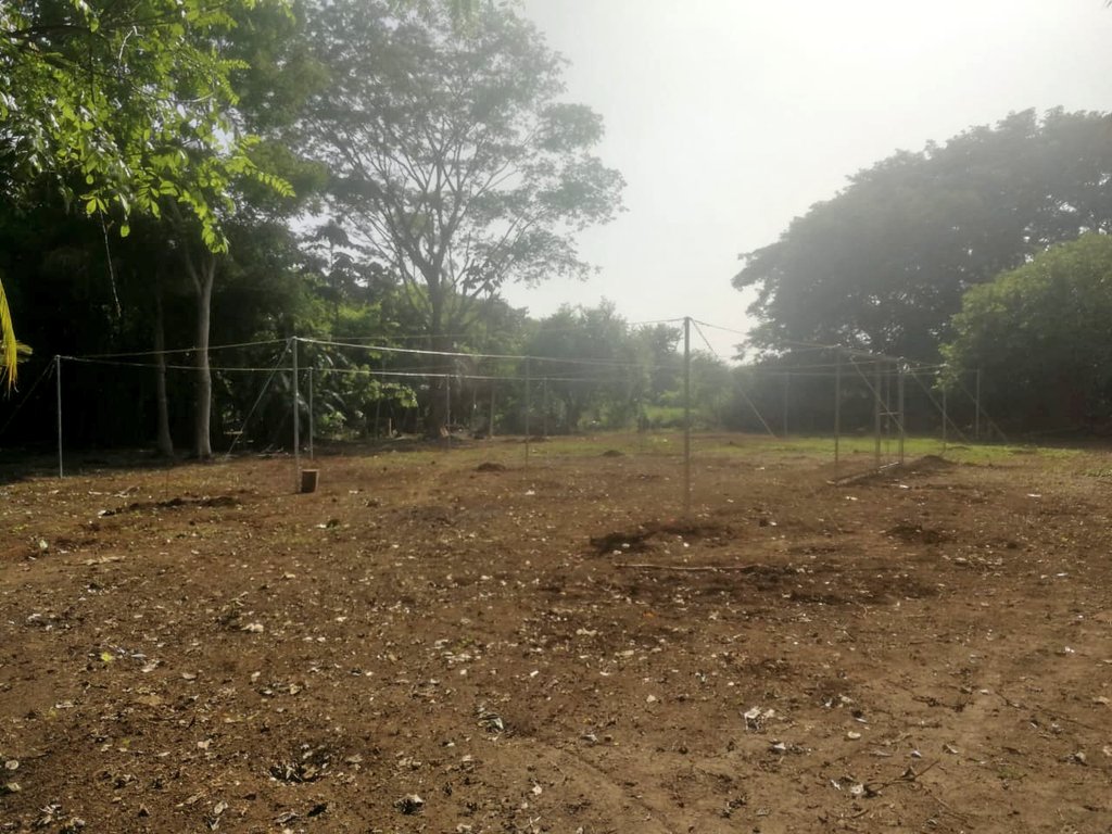 MinEmpren's tweet photo. #NicaraguaTrabajoyPaz
Avances de la construcción del vivero de aclimatización para vitro plantas de Plátano en Chinandega https://t.co/frucWdAJUV