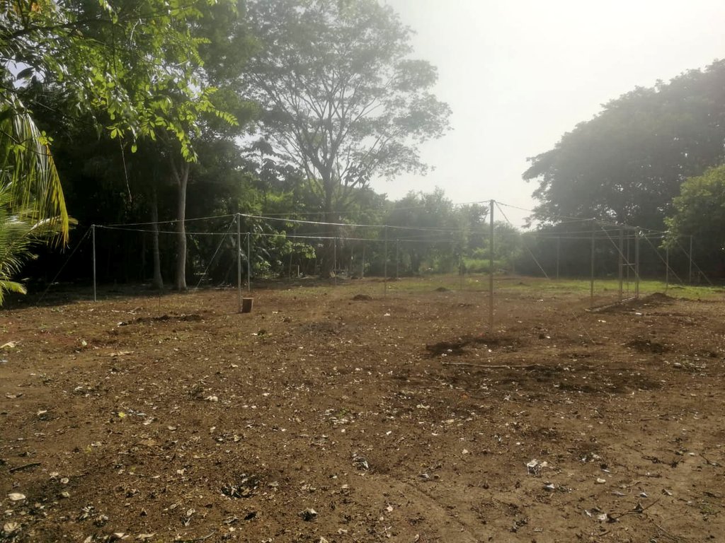 MinEmpren's tweet photo. #NicaraguaTrabajoyPaz
Avances de la construcción del vivero de aclimatización para vitro plantas de Plátano en Chinandega https://t.co/frucWdAJUV
