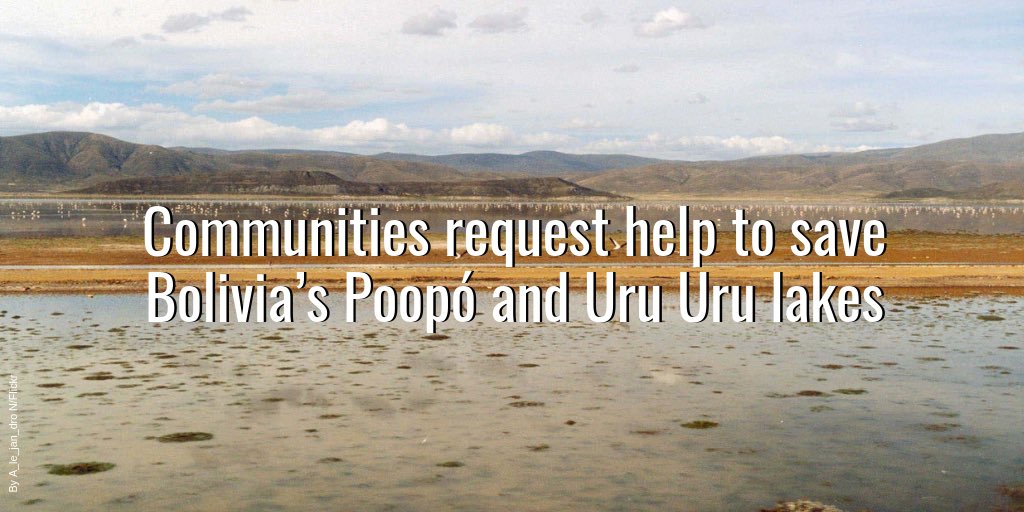 AIDAorg's tweet photo. NEWS | Affected communities and allies request help from @RamsarConv to save Bolivia’s at-risk Lakes Poopó and Uru Uru: https://t.co/zoXwZN6Ffv
#SOSLagoPoopo w/ @CENDABolivia @ColectivoCasa @Aidaespanol #RENAMAT https://t.co/sUyJAXyPXb