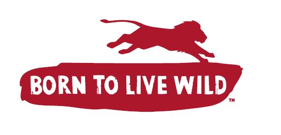 FairVoyage's tweet photo. We signed the @Blood_Lions' 'Born to Live Wild' pledge! This way we take a clear stand against all interactive wildlife activities. 

We only promote responsible safaris and commit to educate on the importance of responsible wildlife tourism. https://t.co/MC92uxO9Iw  #bloodlions https://t.co/pazR0Dkylx