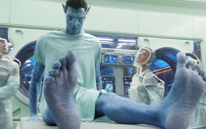 Sy ꝋ W ꝋ From Last Night S Lewd Tweet I Wasn T Exaggerating The Na Vi Are Big Some Great Size Difference Here Feet As Big As Your Torso T Co 0wxaxyrkvp Sy ꝋ W ꝋ From Last Night S Lewd Tweet I Wasn T Exaggerating The Na Vi Are Big Some Great Size Difference Here Feet As Big As Your Torso T Co 0wxaxyrkvp
