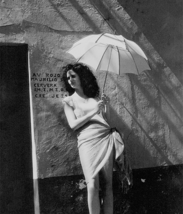 evagreenpost's tweet image. 