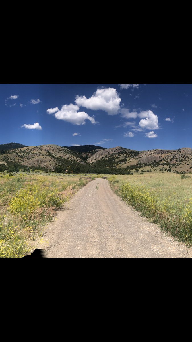 669 Carmel Mountain Ranch ASDS tweet media