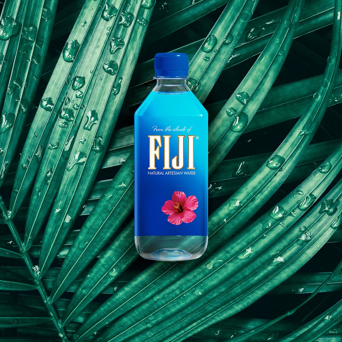 Fiji вода