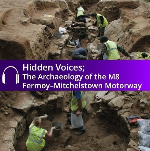 #IrishAncestors? A host of free to download audio books via the excellent @AbartaGuides covering from heritage trails to Medieval Ireland to @irarchaeology  #ANCESTRYHOUR abartaheritage.ie/product/hidden… #monasticireland #medievalireland
