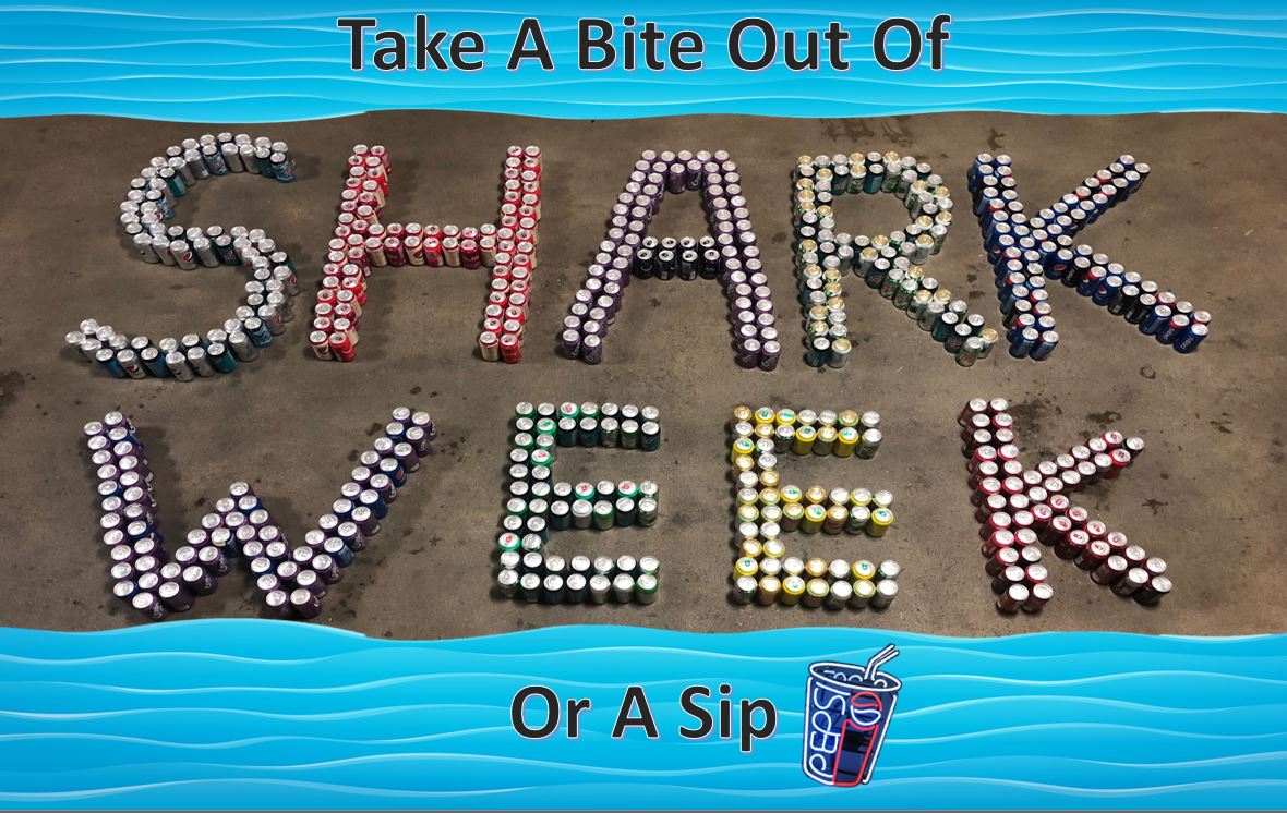 bernicks1916's tweet photo. It's the most wonderful week of the year! #Sharkweek #joinus https://t.co/QQBUImZAzV