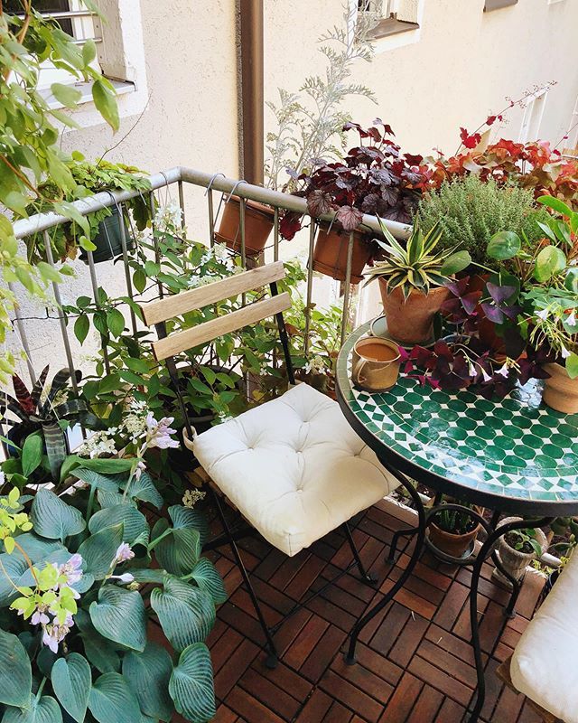 Green coffee break #urbanjunglebloggers #coffee #coffeebreak #balcony #greenlife #plantlife #munich #greenbalcony #igersmunich #ig_munich #houseplantclub #greenoasis