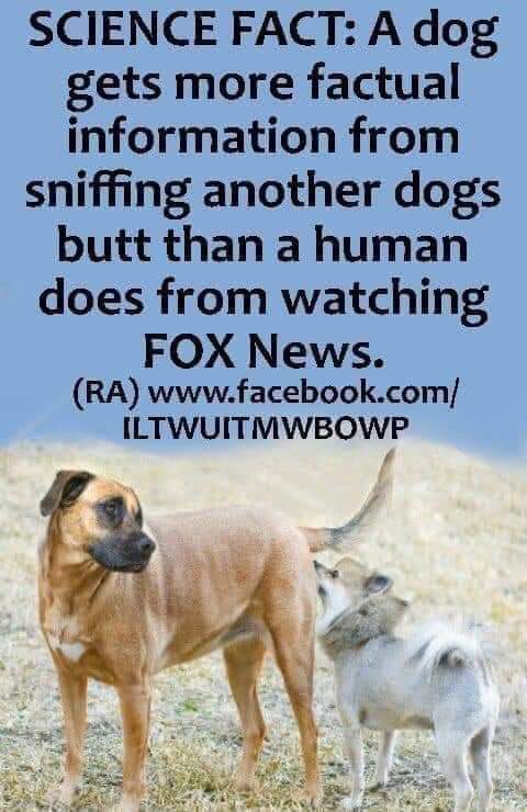 frommindtosoul's tweet photo. @SarahHuckabee @realDonaldTrump https://t.co/aNmr7tbeqa
