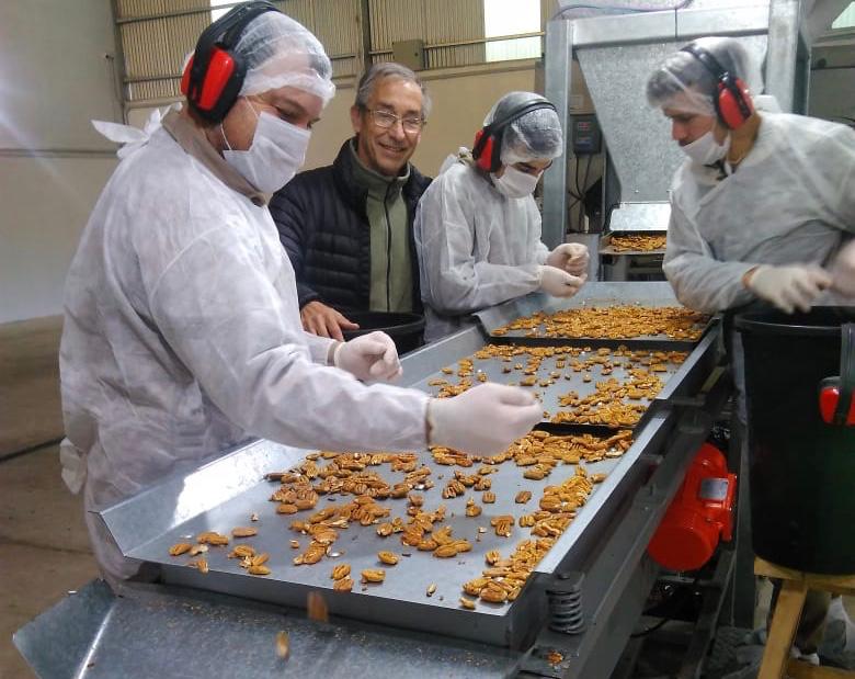 produccion_arg's tweet photo. UNA PYME FAMILIAR DE ENTRE RÍOS EXPORTA NUECES A CHINA, ARABIA SAUDITA Y HOLANDA
Desde hace 12 años, #Burmac produce #nueces pecán en Concordia. Tiene 200 hectáreas de plantaciones de nogal y una planta de limpieza, secado y pelado de nueces donde procesa 1.500 kg. por día. https://t.co/CBWDCMvh29