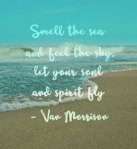 Perdido_Realty's tweet photo. 💙☀️🌊 #perdidokeyfl #beachvibes #goodforthesoul #perdidorealty https://t.co/PQhAajKjx1