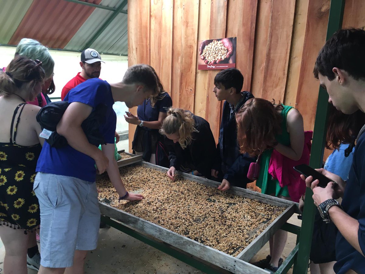 Camp_CostaRica's tweet photo. A few days ago #TeamIlanIlan learned all about coffee & chocolate production while in Monteverde🍫 The team is now in #CampPapagayo getting started on their dive course!🐠 #DoSomehtingAmazing #CampsEffect @CampsInt https://t.co/fmihpjrEpr