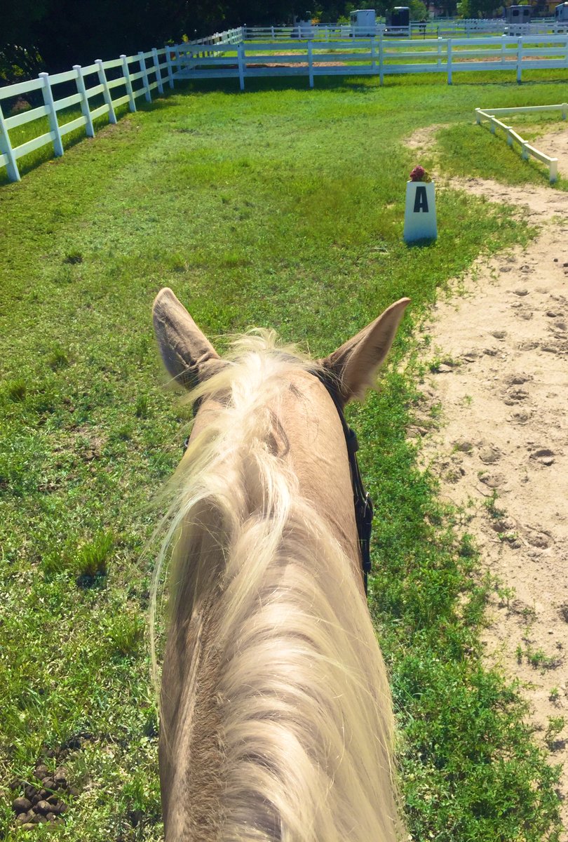 Happy birthday to me 🥳 In my happy place and on my happy colour 💛🐴☀️