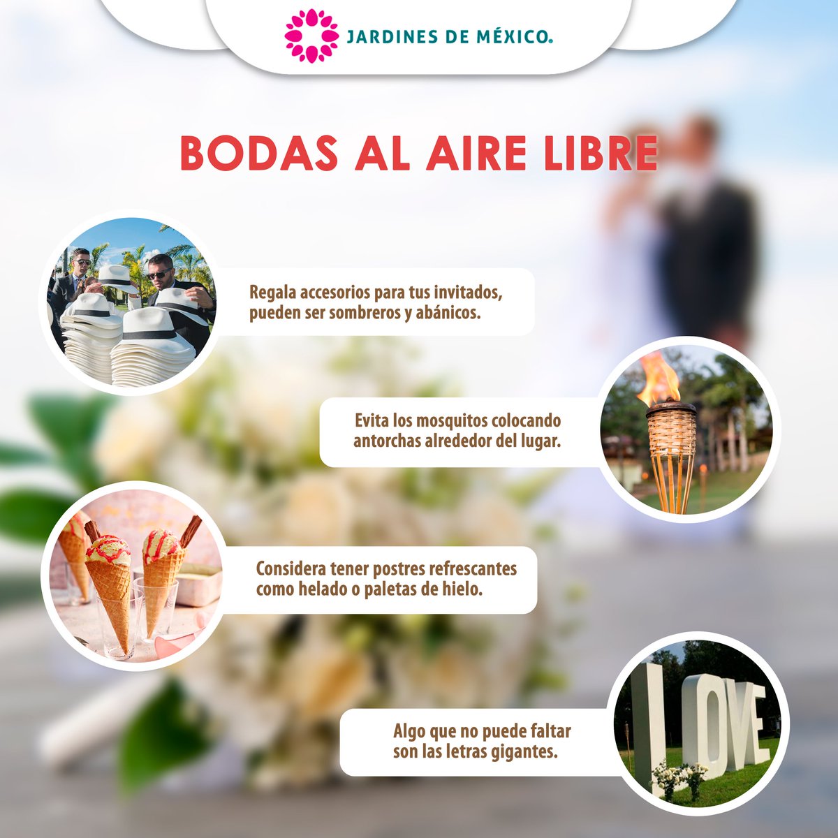 jardinesdemex's tweet photo. Para nosotros los detalles son parte importante de una boda, es por eso que les recomendamos tomar en cuenta lo siguiente para que su boda luzca muy veraniega. #TipsDeBodas #MartesDeBodas 🤵🏻👰🏻 😍 https://t.co/nW1k4U80nr