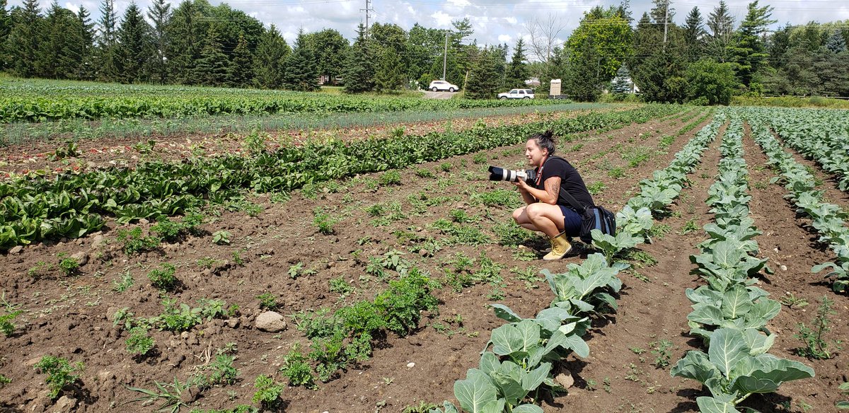 Pfenning's Farm tweet media