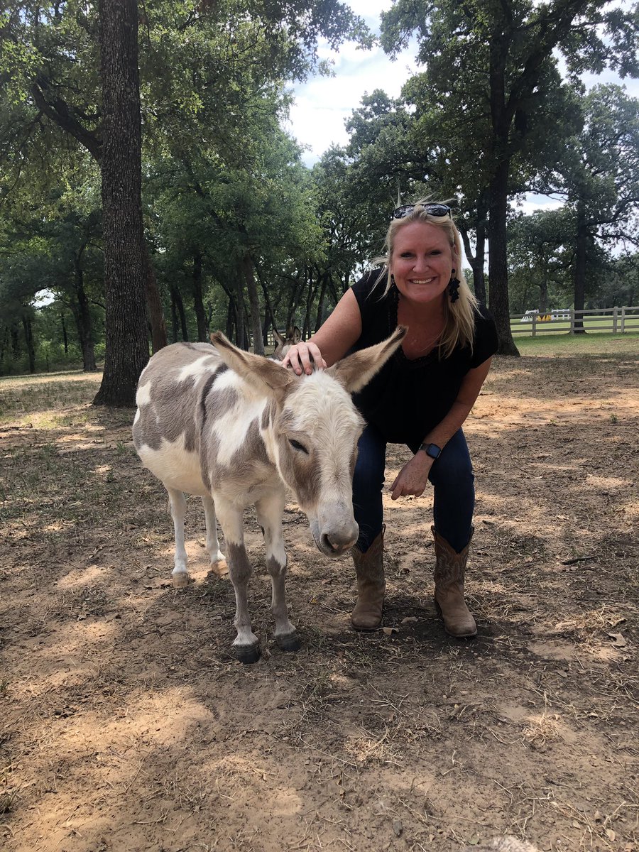 Carrie Layne tweet media