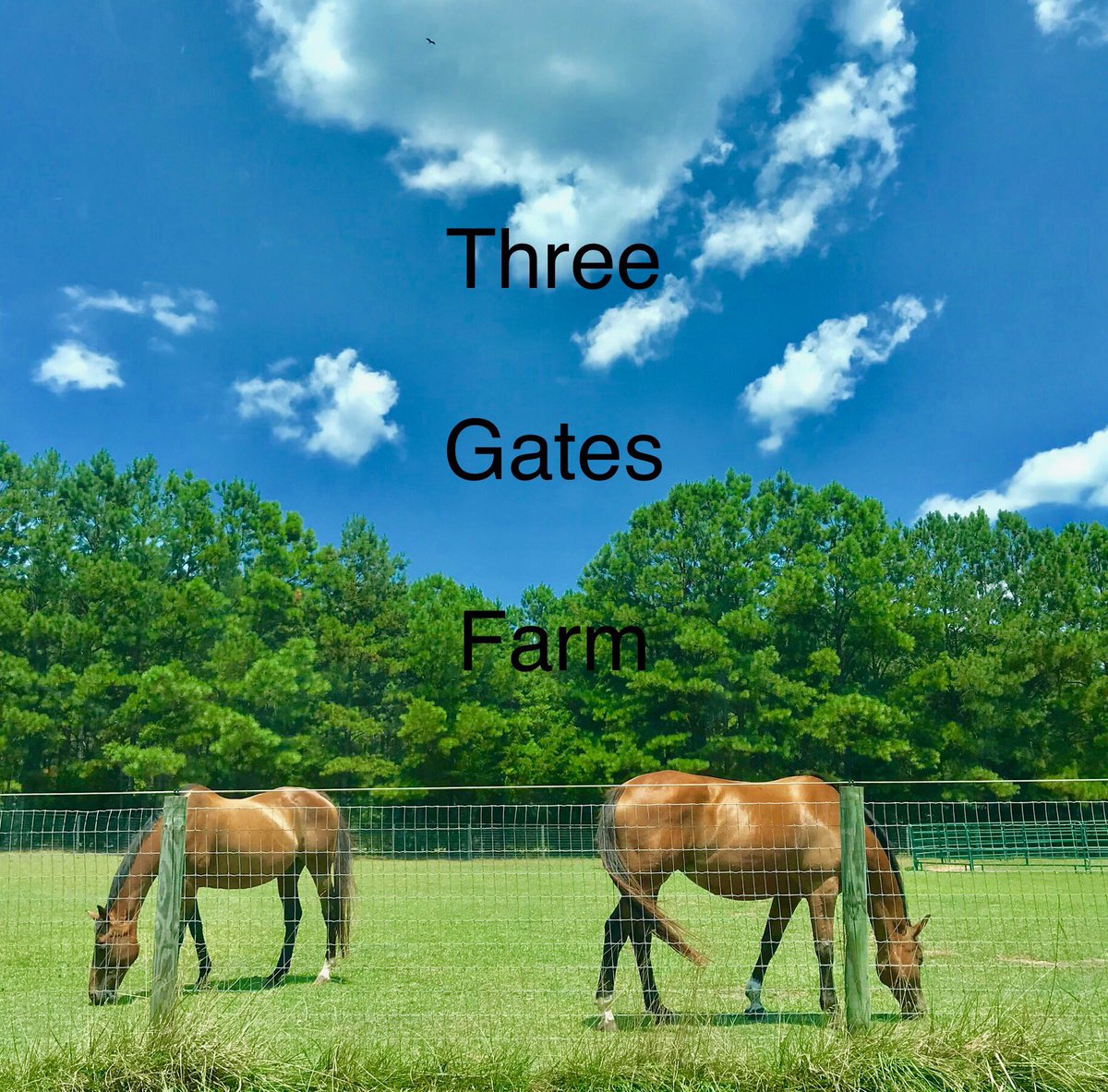 dbsequs tweet picture