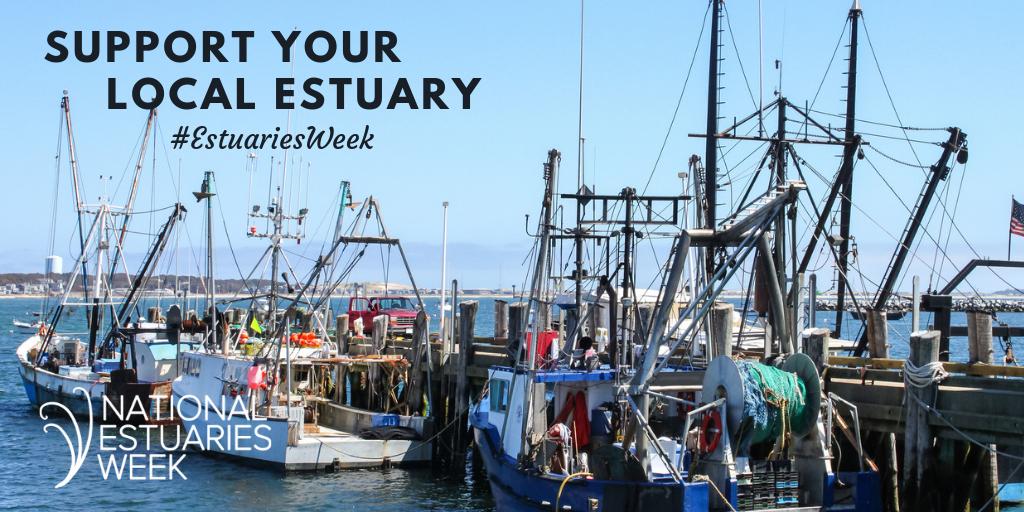 CASeaGrant's tweet photo. >68% of commercial fish catch and >80% of recreational fish catch use habitat in estuaries at some point in their life! #EstuariesWeek @NOAA @EPAGov @SFEstuary https://t.co/kQQDK8VO8r