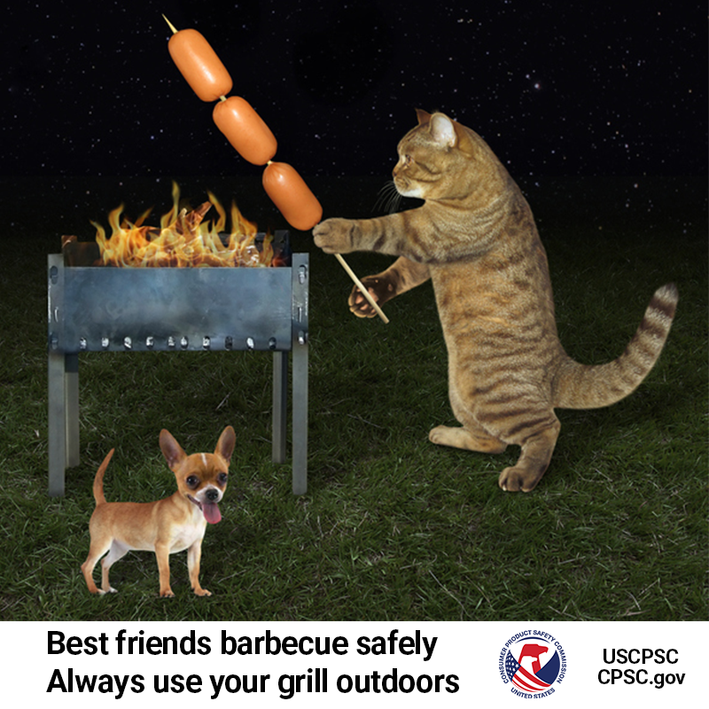A cat barbecuing sausages with a tiny dog. The text reads: Best friends barbecue safely. Always use your grill outdoors.