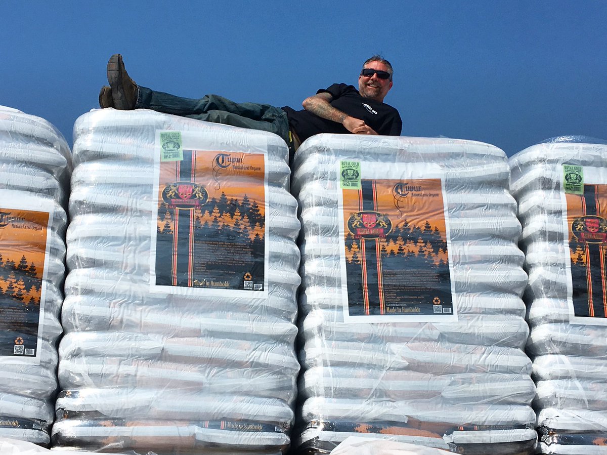 RoyalGoldSoil's tweet photo. Tupur Tuesday glamour shots
#strikeapose #vogue #glamourshotsbydeb #rockstarrick #tupurtuesday
#getyourhandsdirty #growyourown #garden #havesomefun #wekeepitrolling #royalgoldsoil #madeinhumboldt #grow4thegold #royalgrown #tupur #cocofiber #soil #hydro #soilless #farm https://t.co/DHEnz8zQvU