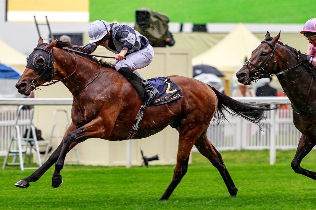 غدآ في سباق ناري .. 🏆🇬🇧

مواجهه كبرى بين ثلاثي خطير
من نخبة عمر ٣ سنوات في الموسم البريطاني
Phoenix Of Spain &amp; Too Darn Hot
Circus Maximus
و تحدي سباق .. Sussex Stakes Gr.1
في سباق ضمن سلسلة سباقات الأبطال البريطانية في ثاني أيام مهرجان Goodwood
