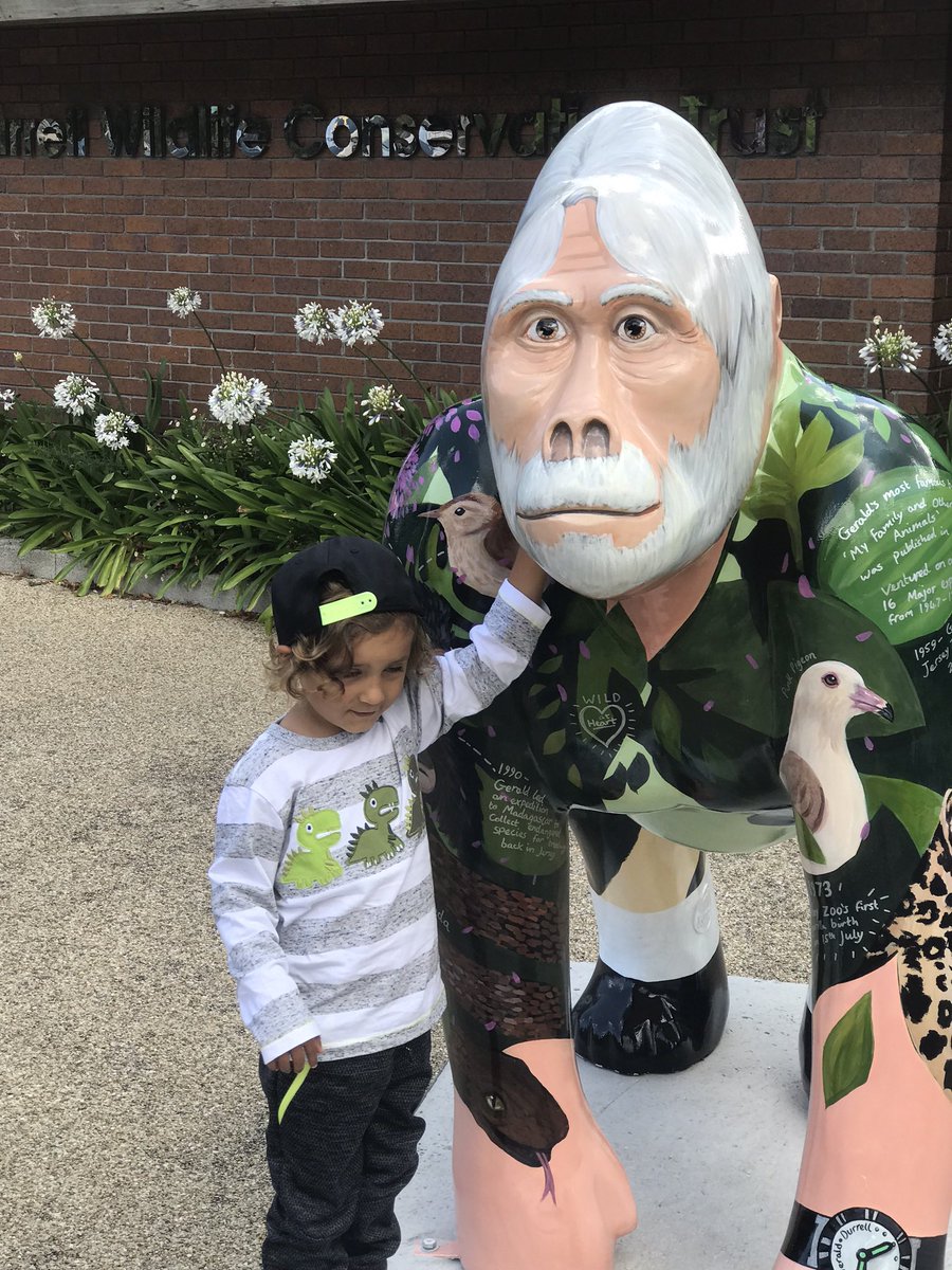 I’m in love with all the gorillas can’t wait to meet all the others #art #jerseyzoo #Gorillas #durrellzoo #JerseyCI what an amazing initiative 🦍💕🦍🦍🦍🦍💕👏🏾👏🏾👏🏾