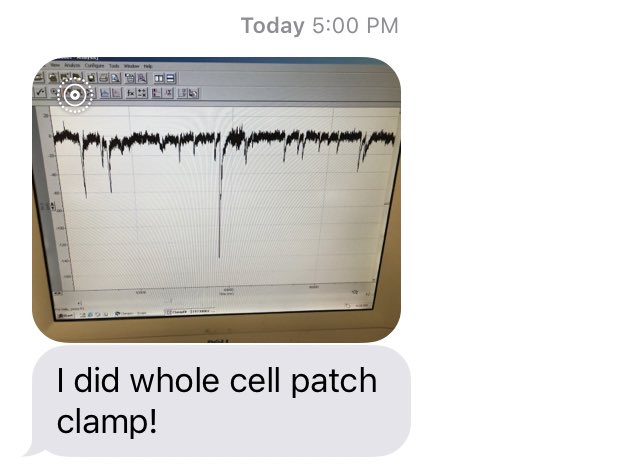 neurotonimd's tweet photo. There are very few prouder mentor moments than seeing one of the very first students that graduated from my @NeuroMDLab1 sending me this message! 

#trainee #neuroscience #phdlife #gradstudent #ncat #labalum https://t.co/Ns6u6SpHha