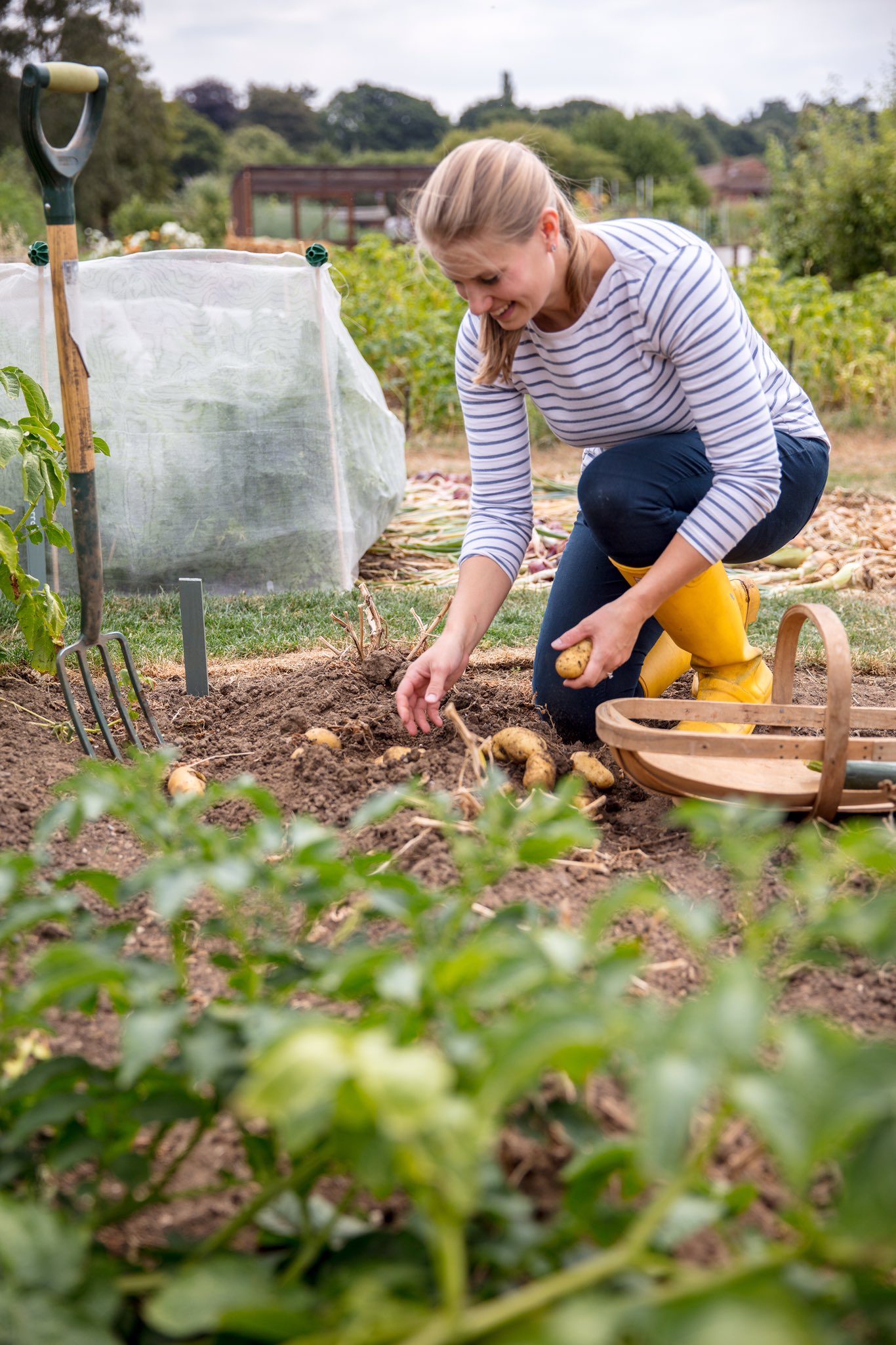 Girl in yellow wellies on Twitter: "I love digging up potatoes - its