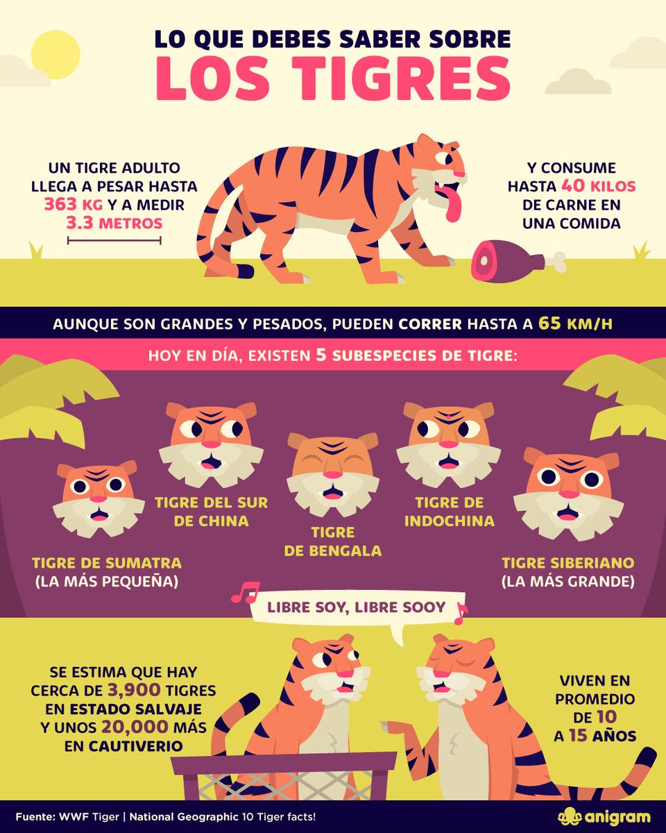 Anigram tweet media