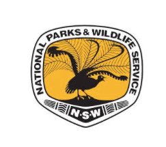 Today is World Ranger Day, so we'd like to say a big THANKS to the NSW National Parks rangers who take care of the Blue Mountains National Park. Without park rangers, we wouldn't have the beauty of the Blue Mountains NP to share with you all. 
#WorldRangerDay #nswnationalparks