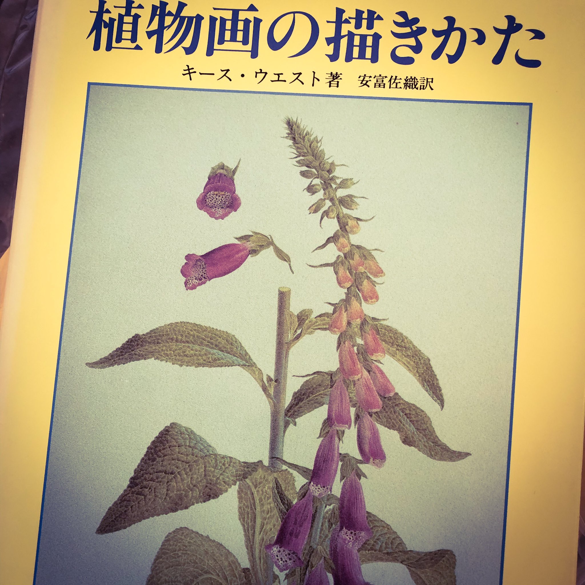 Kyoko Hayashibe この本 植物画ですが 細密表現の塗り方 がちゃんと紹介されていてすばらしい まだ流し読み 訳者は植物学からイラストレーターになった人なので訳も安心