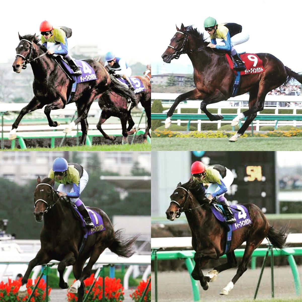 pydon2's tweet photo. さよならディープ(´;ω;`)
#ディープインパクト #deepinpact
#馬 #horse #競馬 #racing
#最強馬 #strongest https://t.co/yCx2o1CFLF