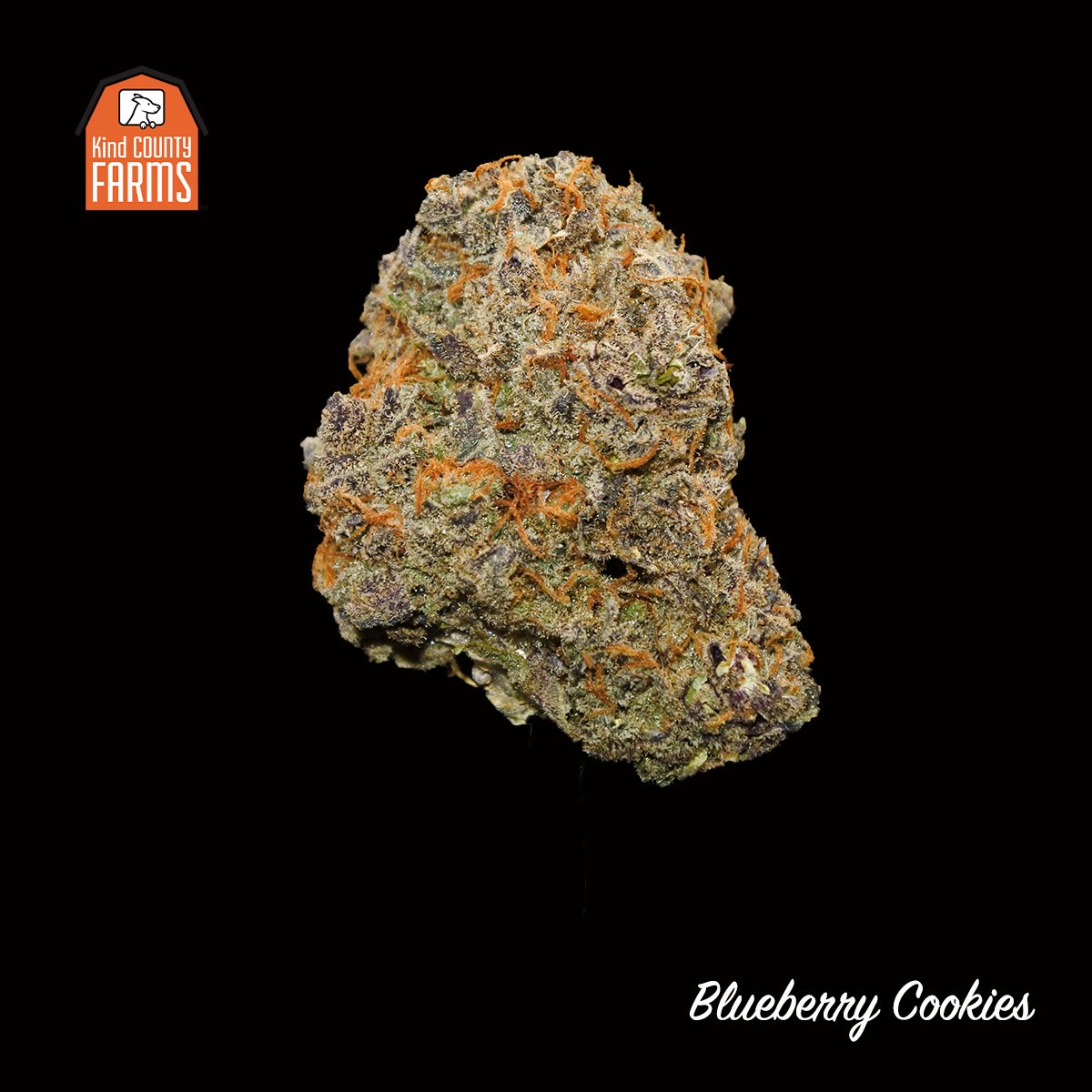 Blueberry Cookies // Summer 2019
.
#UnwindWithKind
.
.
.
.
.
#cannabis #sfcannabis #trybasa #hightimes #bananaog #dosidos #cannabisculture #stoned #highsociety #stonernation #igerssf #igsanfrancisco #nowrongwaysf #sf_insta #richmonddistrict #missiondistrict #dogpatch #missionbay