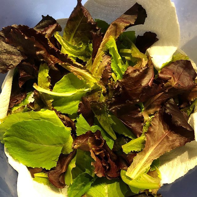 Amazing tip! I love the pre-packed lettuce mixes for their convenience but always hate how quickly the lettuce turned slimy. Dump the mix into a bowl with a paper towel on the bottom and top to absorb the moisture. It lasts soo much longer. Really! ift.tt/2KkkFfA
