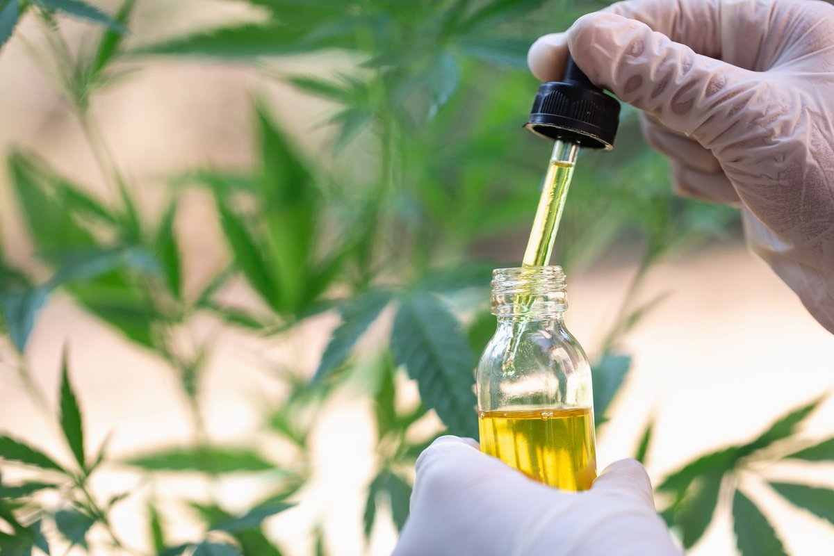 CBN Is Another Cannabis Compound With Beneficial Properties 

forbes.com/sites/sarabrit… #MME #Marijuana #cannabis #medicalmarijuana #CBD #CBN