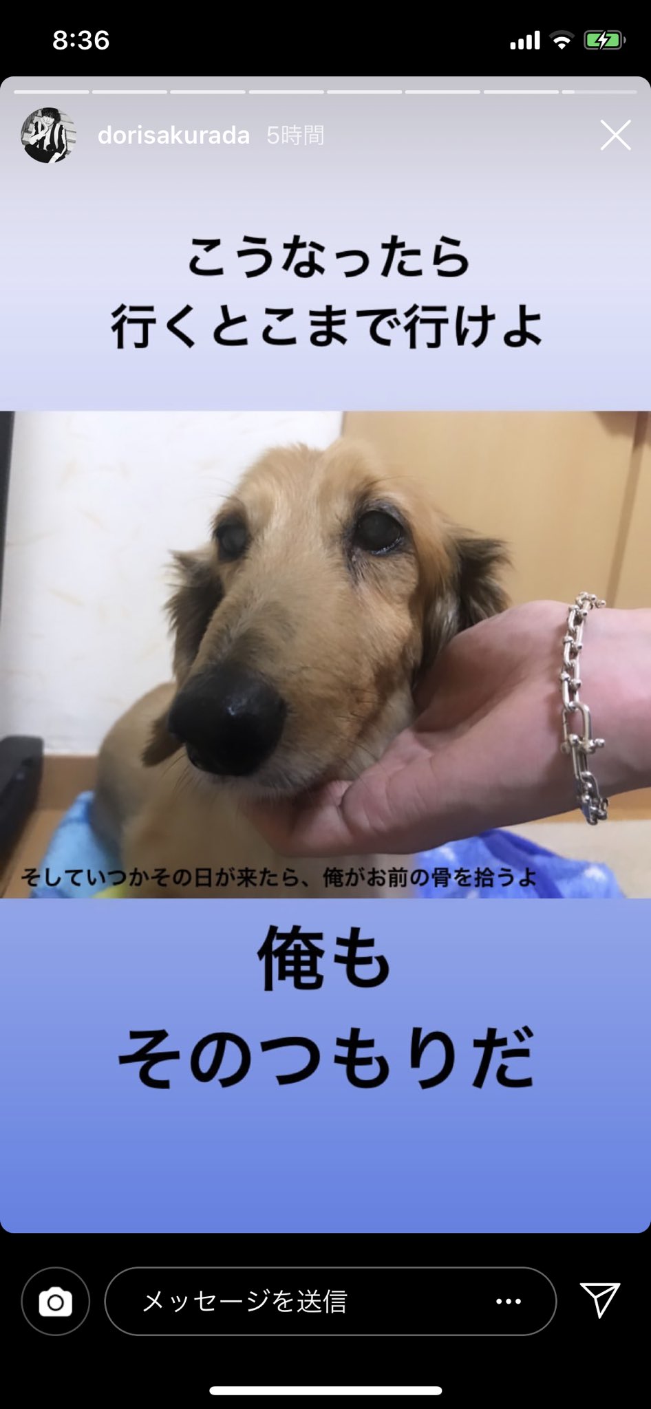 Twitter இல 未来 ドーリ 桜田通の最近の活躍を見るたびに ファンタ 犬 ファンタ 今も元気かな って思ってしまうぐらいこのコンビが好きなので今上がってるインスタストーリー 胸にくる ドーリは13歳ぐらいのときからファンタかわいいファンタ Twitter இல 未来 ドーリ 桜田通の最近の活躍を見るたびに ファンタ 犬 ファンタ 今も元気かな って思ってしまうぐらいこのコンビが好きなので今上がってるインスタストーリー 胸にくる ドーリは13歳ぐらいのときからファンタかわいいファンタ