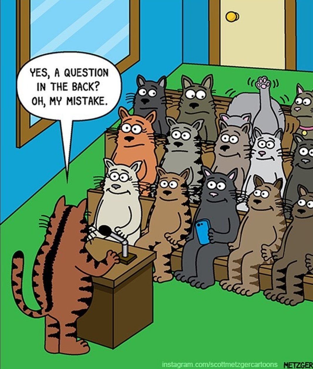 Кот на совещании