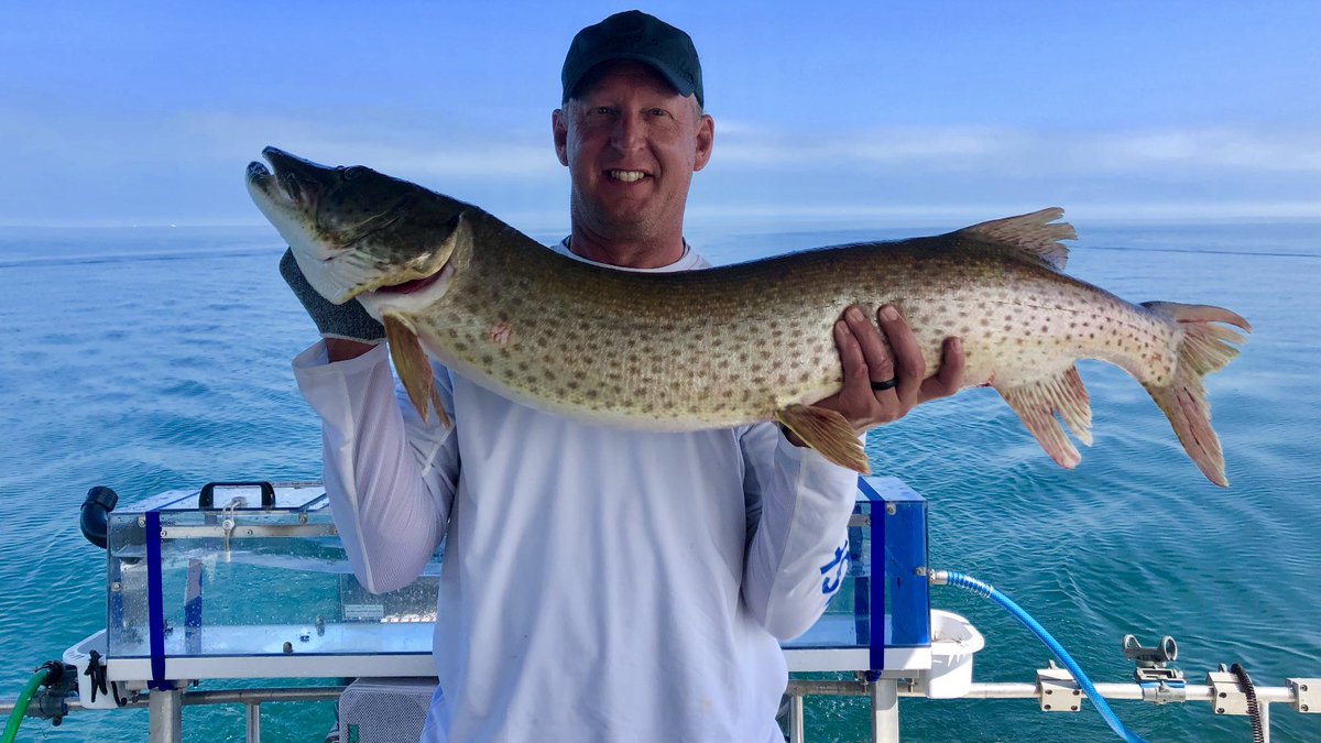Some Muskie fun!