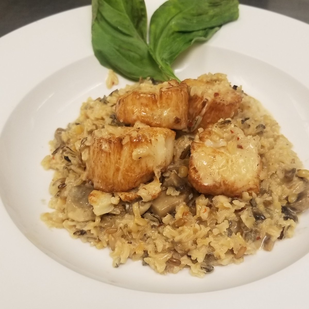 Trattoria Fresco (@trattoriafresh) on Twitter photo 