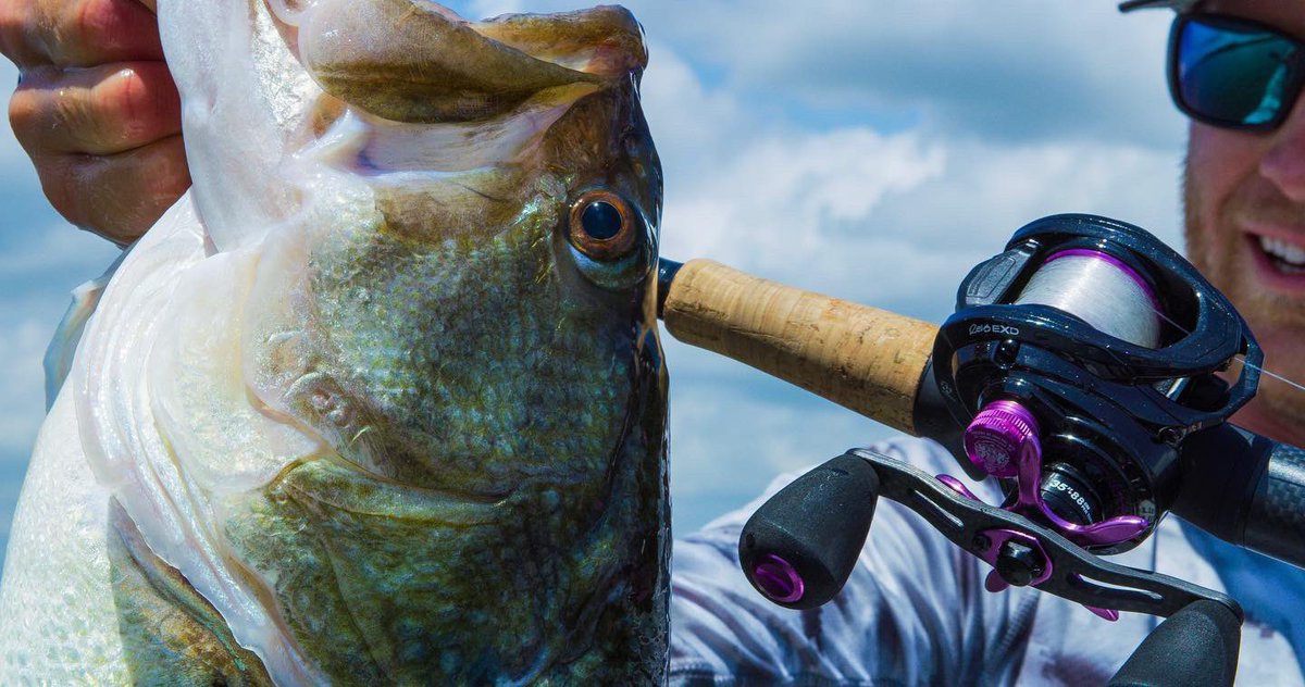 Hunter_Shryock's tweet photo. Which would you rather have- The New EXD Reel from @abugarcia_fishing or a 7 pounder!?!? 👀 🤷♂️🎣•
•
#abugarcia #forlife #extremedistance #bassfishing #bassmaster #fishing #fishingreel #fishingtackle #496films https://t.co/4EKPXlXjj2