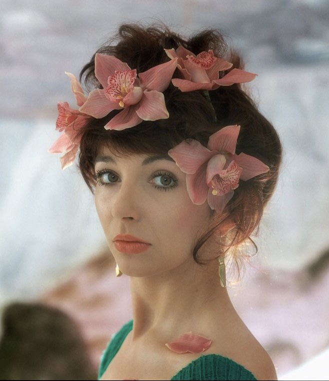 Happy Birthday Kate Bush!      