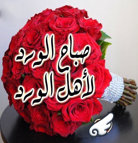 فديت عيونك (@85sult) on Twitter photo 