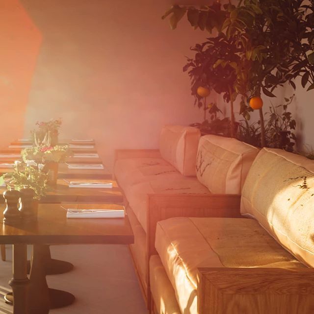 Perfect afternoon light at B&amp;H Garden Room 😍 ift.tt/2ZmcMwd