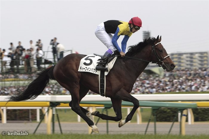 競馬ラボ בטוויטר 12年 ディープブリランテが日本ダービー優勝 親仔で日本ダービー馬に 競馬 Keiba ディープインパクト ディープブリランテ