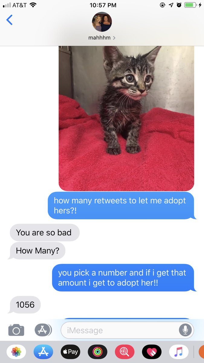 mckinnon_tate's tweet photo. I need everyone to please RETWEET this so my mom will let me adopt this sweet baby from the shelter!! https://t.co/lLYMhTBROj