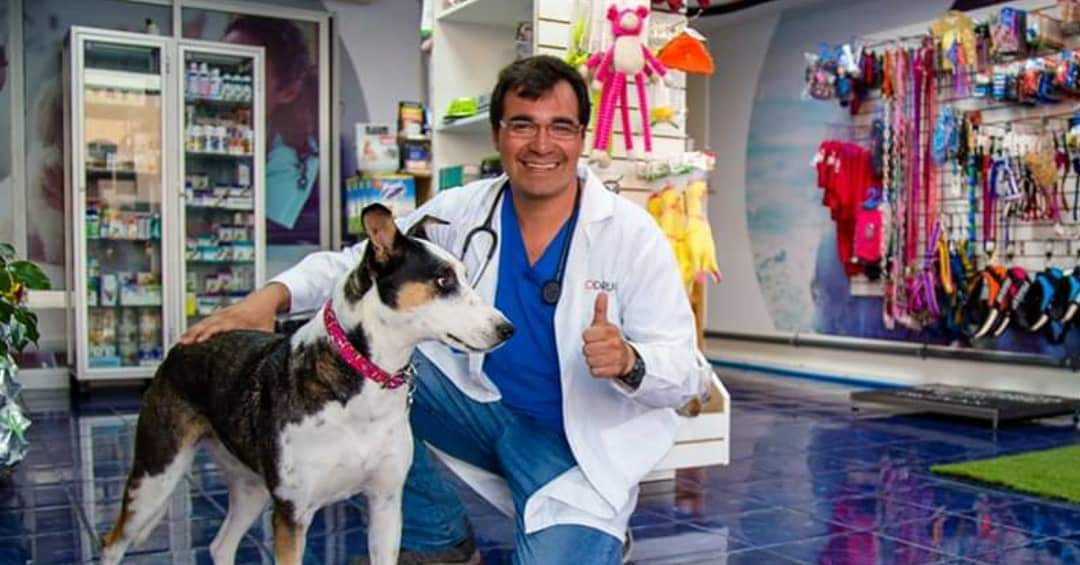 FelinArq's tweet photo. 🔵 Martes 21:30 hrs #ATROPELLO a Veterinario y su perrita Flaca en #Iquique P. Hurtado con Av. A Prat. Delincuente se dio a la fuga en DODGE pick up OSCURA. Si alguien fue testigo del hecho, tomó patente o tiene más información favor póngase en contacto con @dogtoraflacaiqq RT https://t.co/m8iYPCQdT9