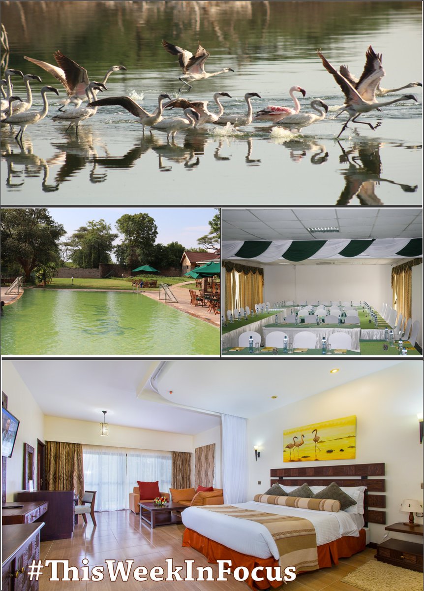 lakebogoriaspa's tweet image. Pop by and experience the healing place...
Reservations call : 0724 623 933 
Directions - goo.gl/5mq8Pk  
#weekinfocus #lakebogoria #wednesday #healingplace #warmpool #senenity #tembeakenya #nyamachoma #baringo