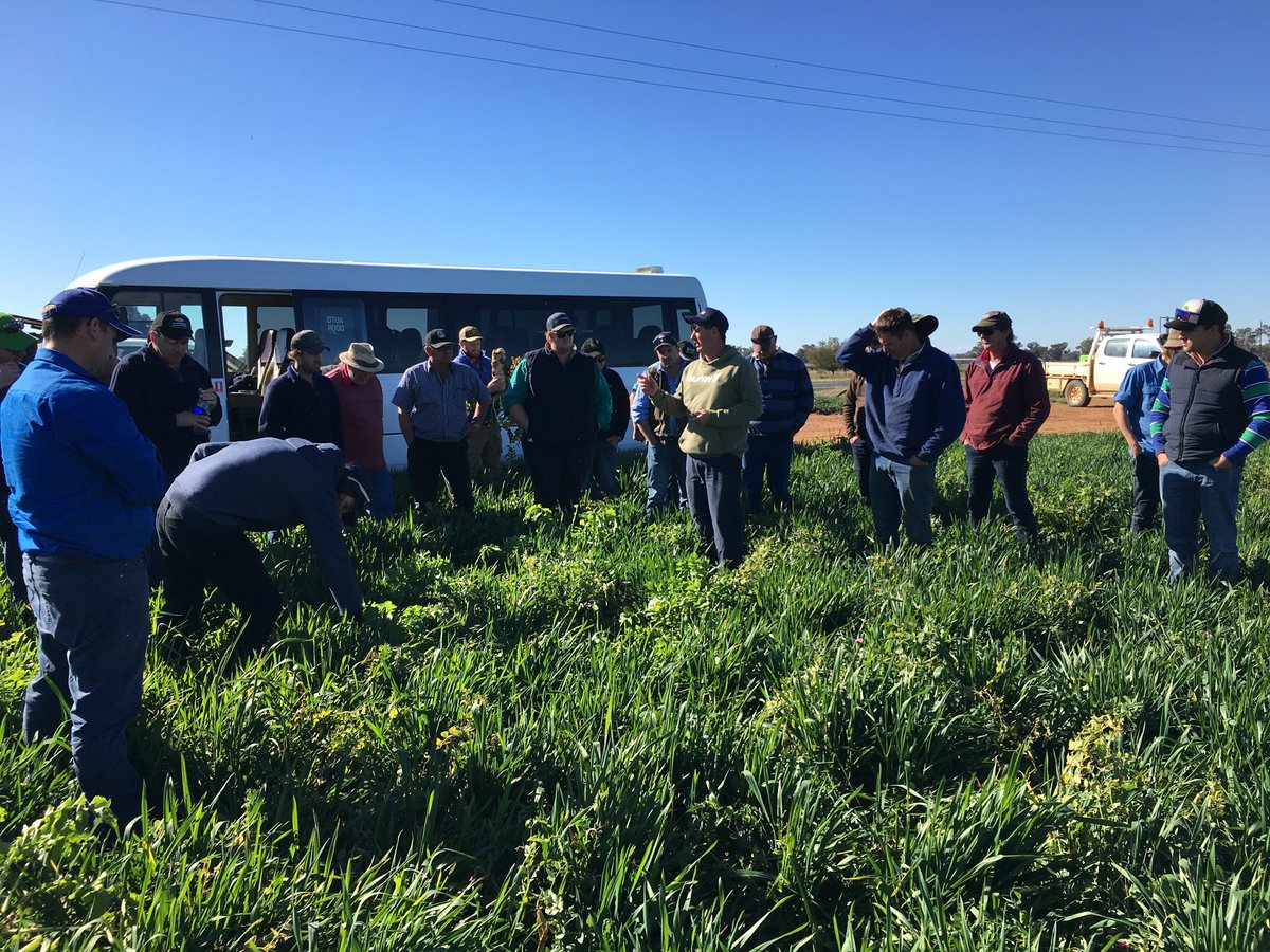 Temora Ag Bureau Sheds &amp; Silos bus trip last week. Tip for the day: plan your shed size and increase it by 50% 🤑<a href="/1jasoncoleman/">Jason Coleman</a> <a href="/SmokeyDerrick/">Smokey Derrick</a> <a href="/RobHart14/">Rob Hart</a> <a href="/emrobo2666/">Emma</a> Thanks to the hosts, great to have an insight into progressive businesses